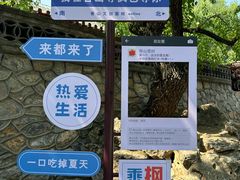-香山公园