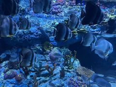 -海合安成都极地海洋公园