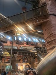 点击看大图 -卡通尼·Safari非洲探索乐园·生日会(金桥国际商业广场店)