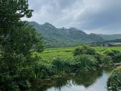 -中国茶叶博物馆(双峰馆区)