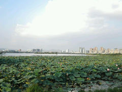 android_upload_pic-湖泉半山温泉