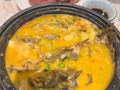 -燕郊烧鸽子(酷车小镇店)