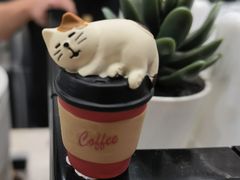 -缶乐FOLLOW咖啡