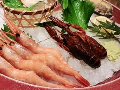 -翼精致料理(昆山旗舰店)