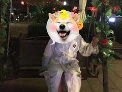 -黄山温泉国际旅游度假区