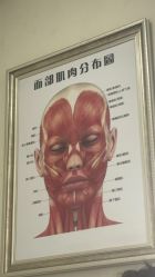 -天津健丽·去眼袋医疗美容机构