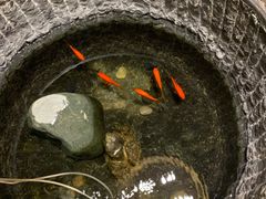 -福茂源横山铁锅羊肉(牡丹园店)