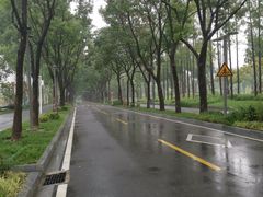 -后襄河公园