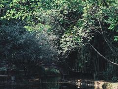 -望江楼公园