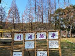 -苏州上方山国家森林公园