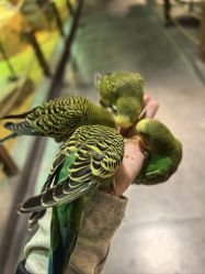 -酷嗒动物文化乐园(cutezoo西溪乐天城店)