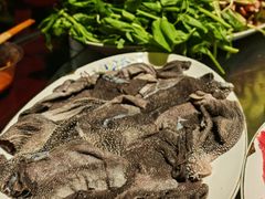 -郫都区农科村景区