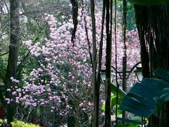 -乌山风景区