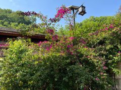 -高荡千年布依古寨旅游景区