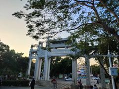 -梧桐山风景名胜区