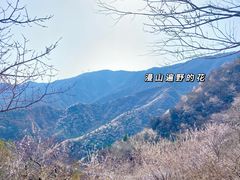 -北京鹫峰国家森林公园