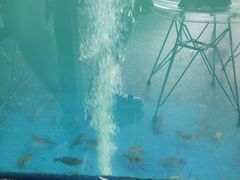 -SHRIMP CLUB万东餐饮钓虾·清吧