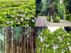 -太阳湾风景区