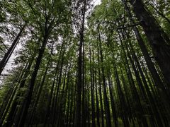 -山王坪喀斯特国家生态公园