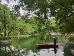 -晓港公园