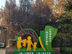 -大兴滨河森林公园