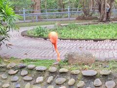 -广东茂名森林公园