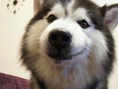 -CoCo都可(西安路民勇店)