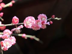 -老门东历史文化街区