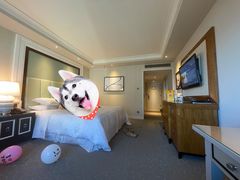 -澳门喜来登大酒店