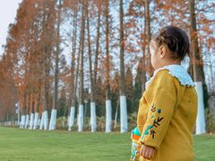 -合肥滨湖国家森林公园