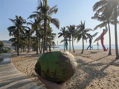 -大梅沙海滨公园