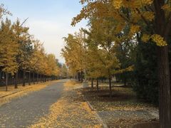 -北京大学(昌平校区)