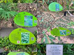-广州神农草堂中医药博物馆