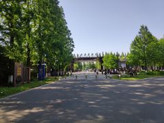 -黄海国家森林公园