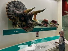 -安徽省地质博物馆