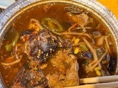 -奥西拉烤肉,盒饭,冷面(青岩刘店)