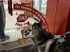 -DQ·蛋糕·冰淇淋(五角场万达店)
