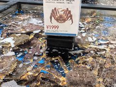 -盒马X会员店(王府井奥莱UP TOWN店)
