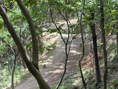 -句容茅山景区