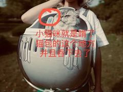 -申普宠物医院·心脏介入·心血管微创(总院)