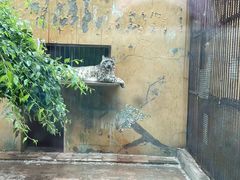 -青藏高原野生动物园