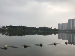 -飞来湖湿地公园