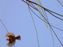 -豫园