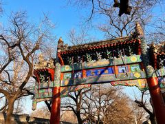 -北京国子监胡同