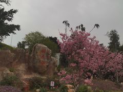 -狐尾山公园