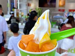 -Salud撒露欧洲冻酸奶(蓝色港湾店)