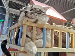 -小时光咖啡馆(开森度假森林店)