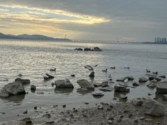 -深圳湾公园(南山区)