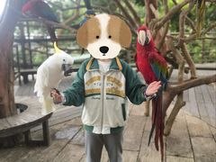 -海南槟榔谷黎苗文化旅游区