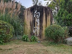 -白鹭湾湿地公园